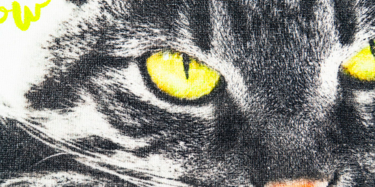 Ręcznik 30x50 kot meow TNL202008-R